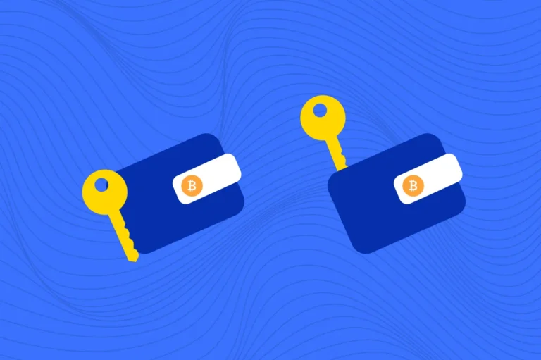 кастодіальні та некастодіальі гаманці